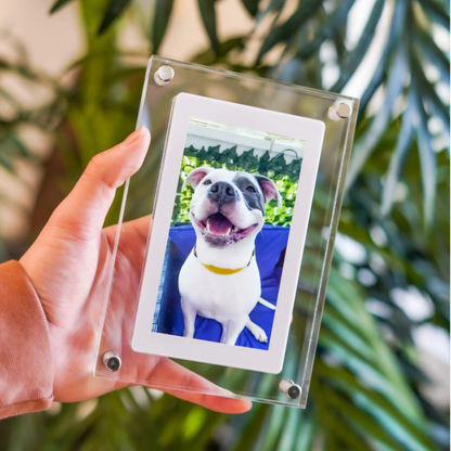Relive® Digital Frame